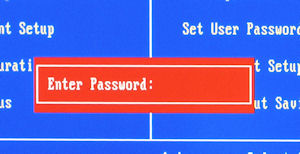 BIOS password prompt